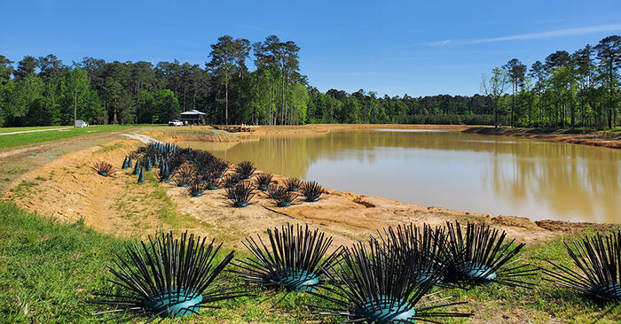 Pond Management