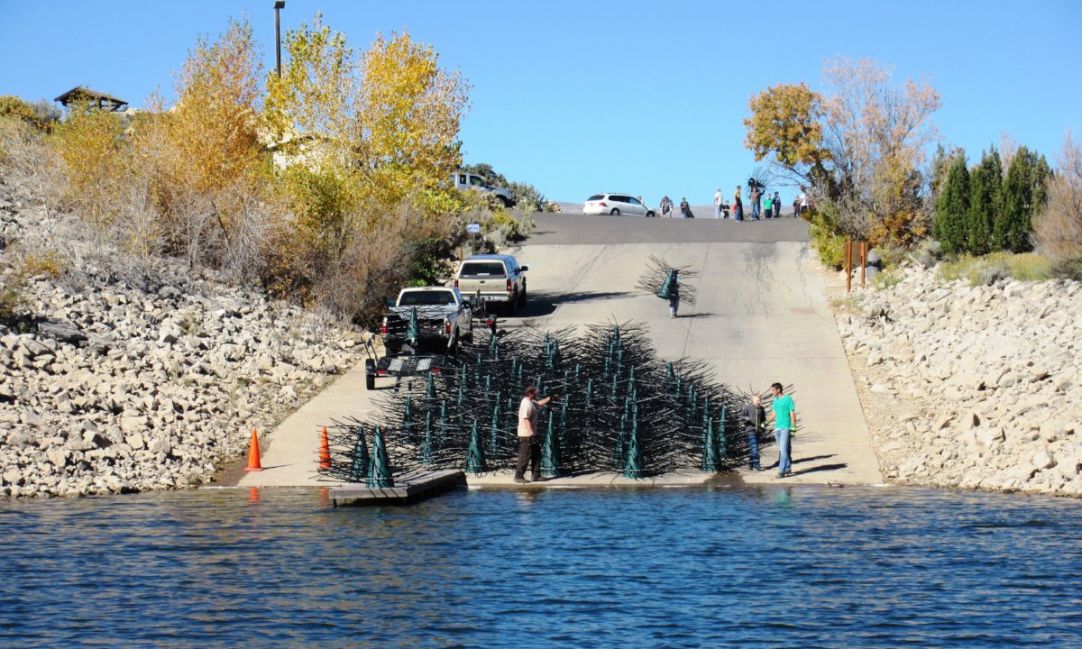 Honey Hole Tree Getting Deployed on Lake Fork