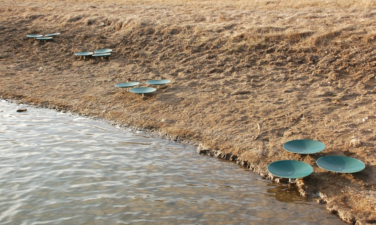 Honey Hole Spawning Disc Along Shoreline