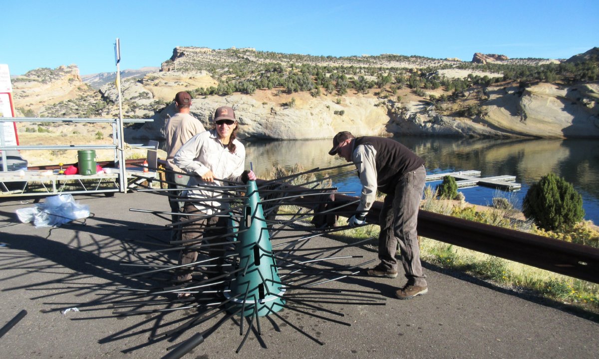 Adding Honey Hole Trees to Lake Fork