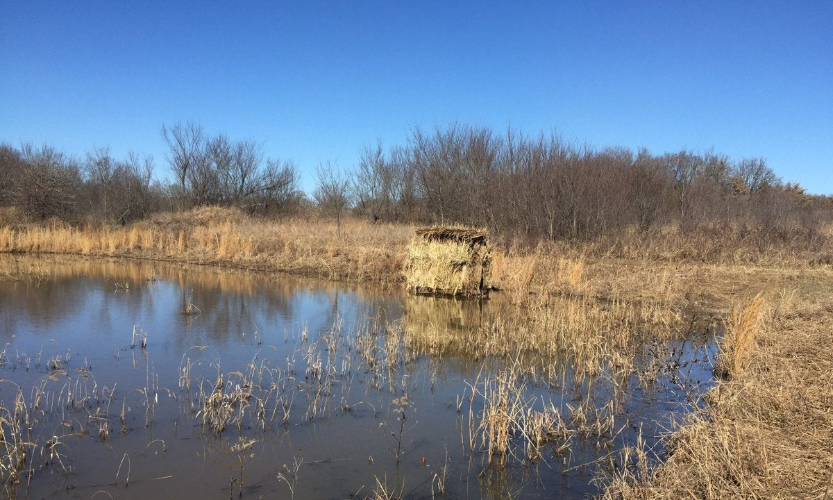 Pond King Skid Blind