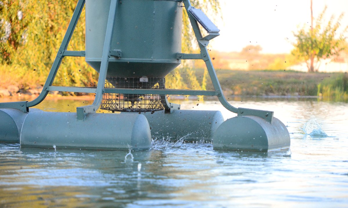 Floating Fish Feeder