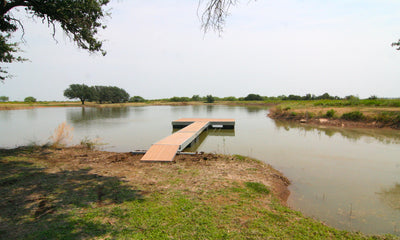 floating dock with access ramp