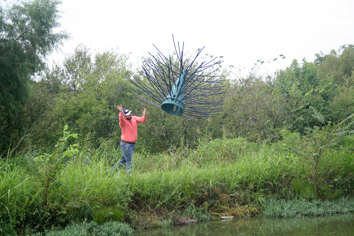 Deploying the Honey Hole Tree from the Shore